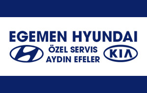 Egemen Hyundai Özel Servisi